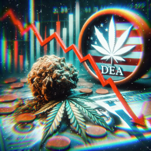 cannabis stocks plunge dea rescheduling delay