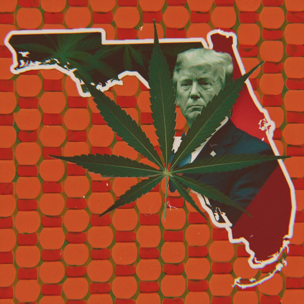 trump flip flop stance on marijuana amendment 3