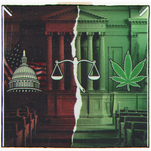 Federal vs. State Cannabis Conflict