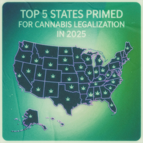 top 5 states primed for cannabis legalization in 2025