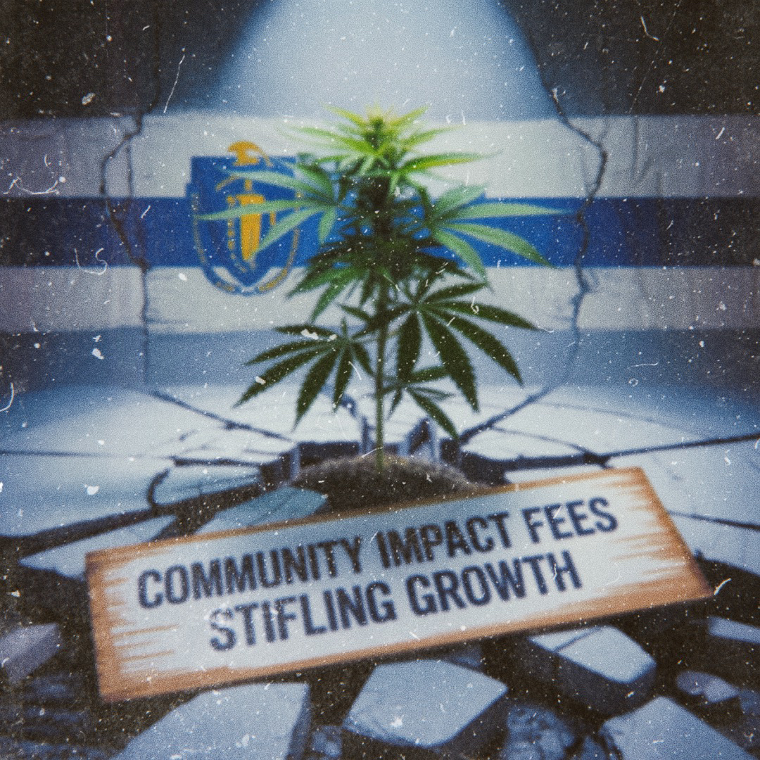 community impact fees undermining massachusetts cannabis industry growth