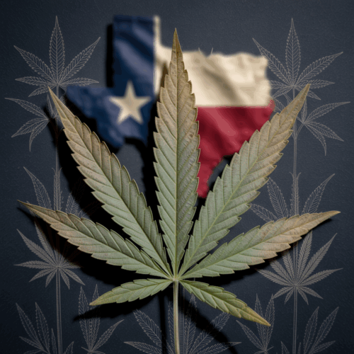 marijuana legalization in texas