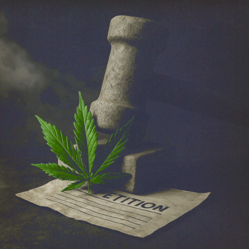 Florida Judge Blocks Petition Law Targeting Marijuana Campaign